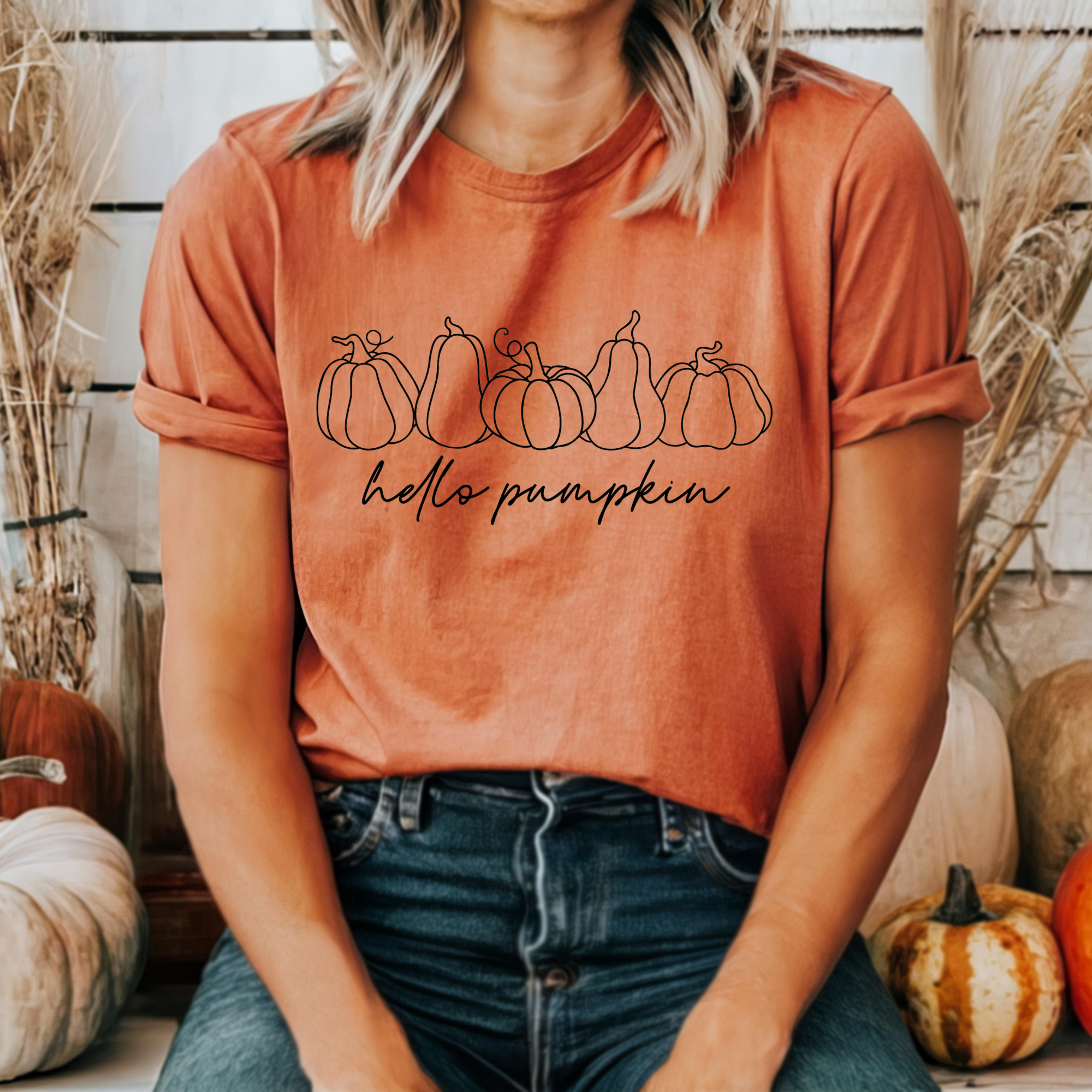 Hello Pumpkin t-shirt
